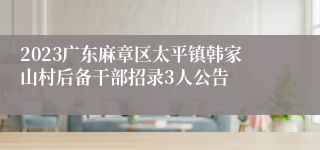 2023广东麻章区太平镇韩家山村后备干部招录3人公告