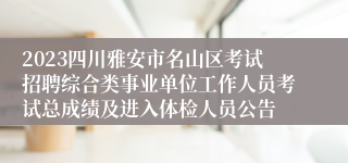 2023四川雅安市名山区考试招聘综合类事业单位工作人员考试总成绩及进入体检人员公告