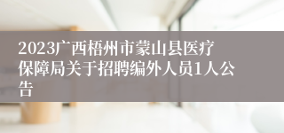 2023广西梧州市蒙山县医疗保障局关于招聘编外人员1人公告