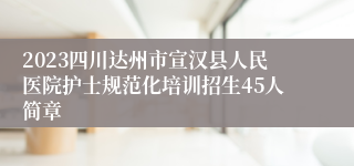 2023四川达州市宣汉县人民医院护士规范化培训招生45人简章