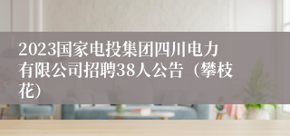 2023国家电投集团四川电力有限公司招聘38人公告（攀枝花）