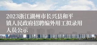 2023浙江湖州市长兴县和平镇人民政府招聘编外用工拟录用人员公示