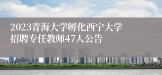 2023青海大学孵化西宁大学招聘专任教师47人公告