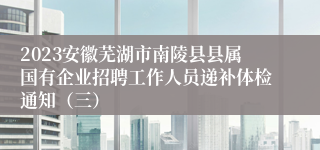 2023安徽芜湖市南陵县县属国有企业招聘工作人员递补体检通知（三）