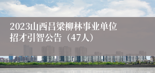 2023山西吕梁柳林事业单位招才引智公告（47人）