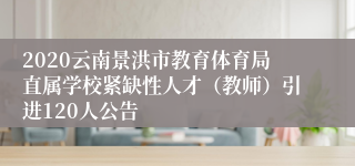 2020云南景洪市教育体育局直属学校紧缺性人才（教师）引进120人公告