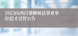 2023山西吕梁柳林县事业单位招才引智公告