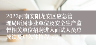 2023河南安阳龙安区应急管理局所属事业单位及安全生产监督相关单位招聘进入面试人员总成绩及进入体检程序人