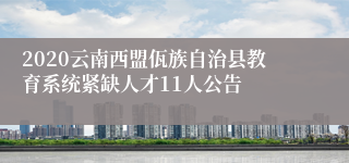 2020云南西盟佤族自治县教育系统紧缺人才11人公告