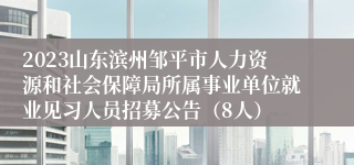 2023山东滨州邹平市人力资源和社会保障局所属事业单位就业见习人员招募公告（8人）