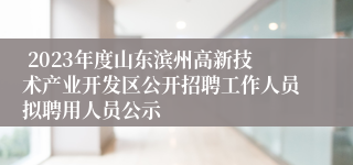  2023年度山东滨州高新技术产业开发区公开招聘工作人员拟聘用人员公示