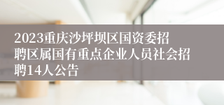 2023重庆沙坪坝区国资委招聘区属国有重点企业人员社会招聘14人公告