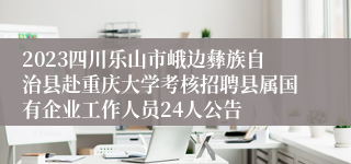 2023四川乐山市峨边彝族自治县赴重庆大学考核招聘县属国有企业工作人员24人公告