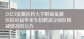 2023安徽医科大学附属巢湖医院应届毕业生招聘部分岗位核减情况的公告