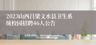 2023山西吕梁文水县卫生系统校园招聘46人公告