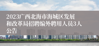 2023广西北海市海城区发展和改革局招聘编外聘用人员3人公告