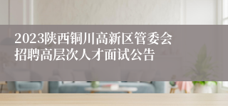 2023陕西铜川高新区管委会招聘高层次人才面试公告