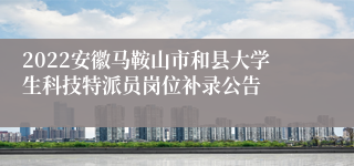 2022安徽马鞍山市和县大学生科技特派员岗位补录公告