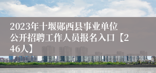 2023年十堰郧西县事业单位公开招聘工作人员报名入口【246人】