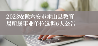 2023安徽六安市霍山县教育局所属事业单位选调6人公告