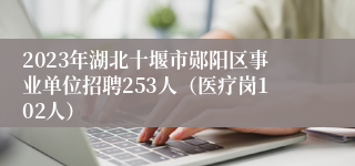 2023年湖北十堰市郧阳区事业单位招聘253人（医疗岗102人）