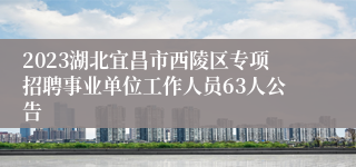 2023湖北宜昌市西陵区专项招聘事业单位工作人员63人公告