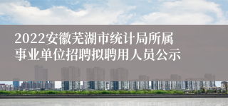 2022安徽芜湖市统计局所属事业单位招聘拟聘用人员公示