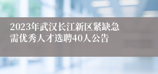 2023年武汉长江新区紧缺急需优秀人才选聘40人公告