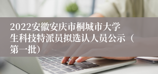 2022安徽安庆市桐城市大学生科技特派员拟选认人员公示（第一批）