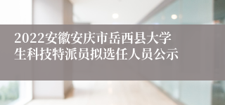 2022安徽安庆市岳西县大学生科技特派员拟选任人员公示