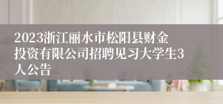 2023浙江丽水市松阳县财金投资有限公司招聘见习大学生3人公告