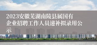 2023安徽芜湖南陵县属国有企业招聘工作人员递补拟录用公示