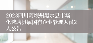 2023四川阿坝州黑水县市场化选聘县属国有企业管理人员2人公告