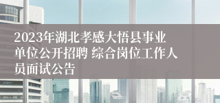 2023年湖北孝感大悟县事业单位公开招聘 综合岗位工作人员面试公告