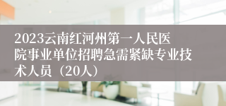 2023云南红河州第一人民医院事业单位招聘急需紧缺专业技术人员（20人）