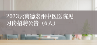 2023云南德宏州中医医院见习岗招聘公告（6人）