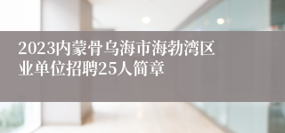 2023内蒙骨乌海市海勃湾区业单位招聘25人简章