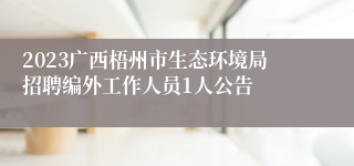 2023广西梧州市生态环境局招聘编外工作人员1人公告