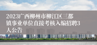 2023广西柳州市柳江区三都镇事业单位直接考核入编招聘3人公告