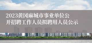 2023黄冈麻城市事业单位公开招聘工作人员拟聘用人员公示