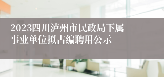 2023四川泸州市民政局下属事业单位拟占编聘用公示