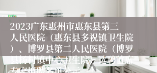 2023广东惠州市惠东县第三人民医院（惠东县多祝镇卫生院）、博罗县第二人民医院（博罗县杨村镇中心卫生院）选聘首席专家拟聘名单公示