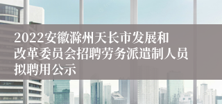 2022安徽滁州天长市发展和改革委员会招聘劳务派遣制人员拟聘用公示