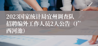 2023国家统计局宜州调查队招聘编外工作人员2人公告（广西河池）