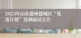 2023年山东德州德城区“优选计划”选调面试公告