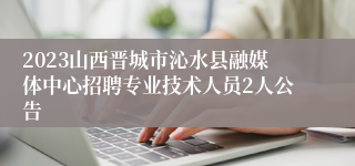 2023山西晋城市沁水县融媒体中心招聘专业技术人员2人公告