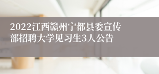 2022江西赣州宁都县委宣传部招聘大学见习生3人公告