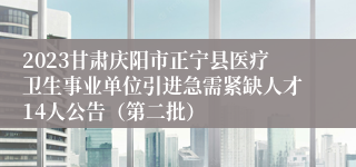 2023甘肃庆阳市正宁县医疗卫生事业单位引进急需紧缺人才14人公告（第二批）