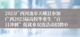 2023广西河池市天峨县参加广西2023届高校毕业生“百日冲刺”促就业双选活动招聘中学教师43人公告