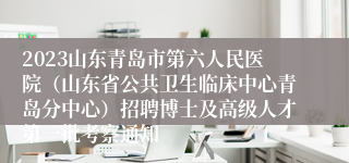 2023山东青岛市第六人民医院（山东省公共卫生临床中心青岛分中心）招聘博士及高级人才第一批考察通知